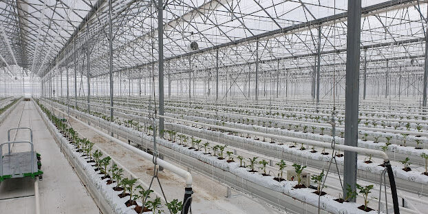 Seralarda CO2 karbondioksit