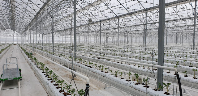 Seralarda CO2