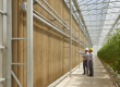 Engineers inspecting a new evaporative pad system as part of a greenhouse cooling retrofit in the UAE.