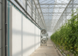 A new wet pad wall installed as part of a greenhouse cooling retrofit in the UAE, with exhaust fans visible in the background.