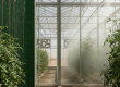 A comparison of pad and fan vs fogging systems inside a modern UAE greenhouse, showing the wet pad wall and the fine mist from fogging nozzles.